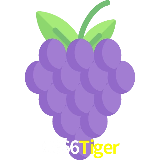 6666Tiger